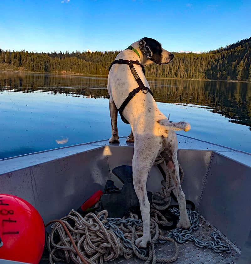 Navigating The Boat By Tail Winds