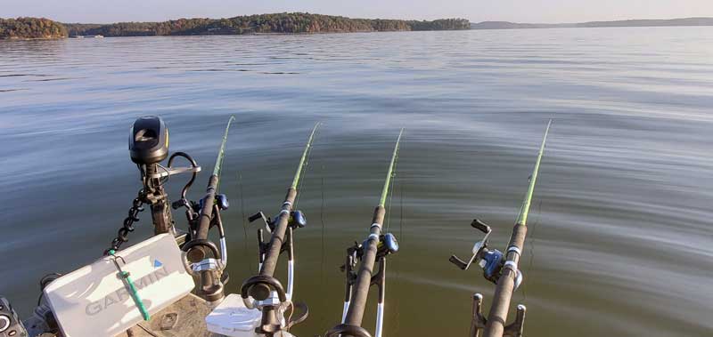 Rods In The Water