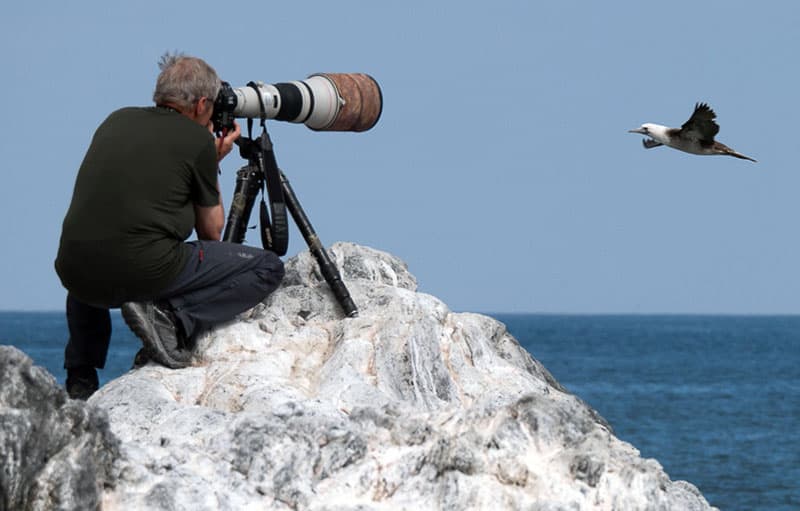 Living Wild Photographing Birds