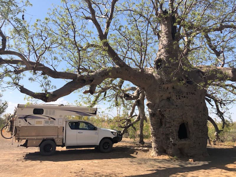 Northstar Camper Australia Tree