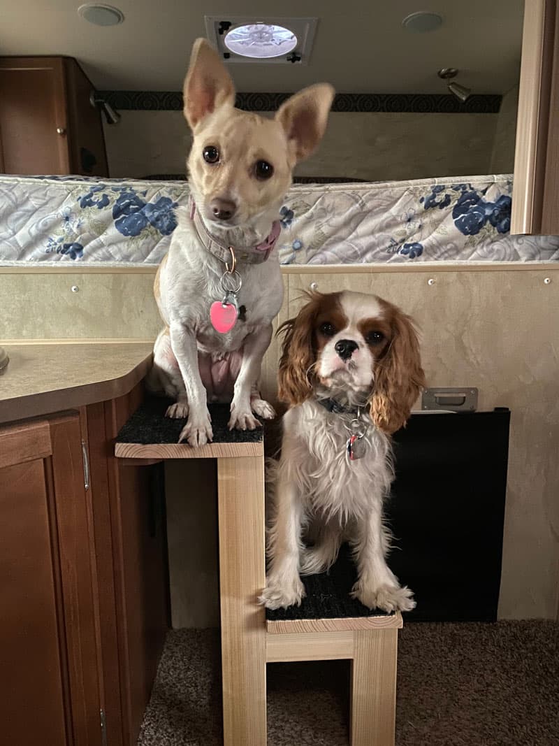 Pet Steps To The Cabover Dogs