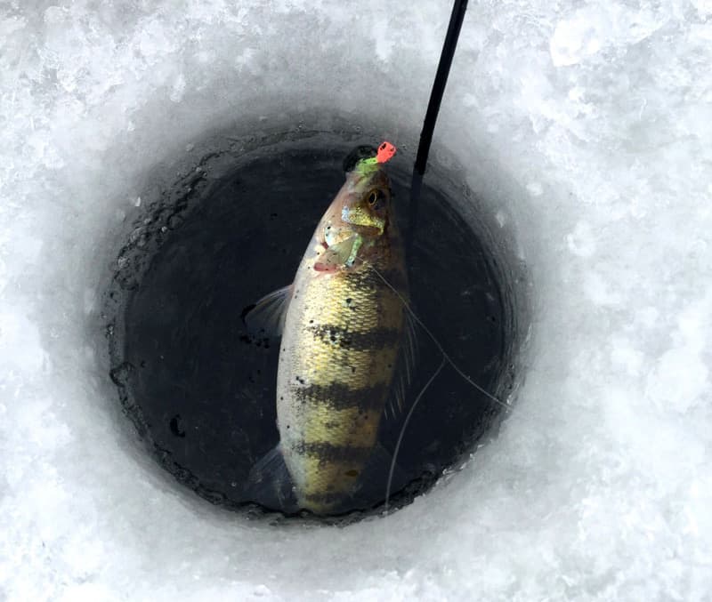 Hole In Ice For Fishing