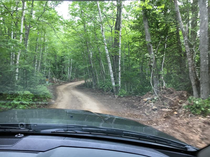 Estivant Pines Nature Sanctuary Keweenaw Peninsula