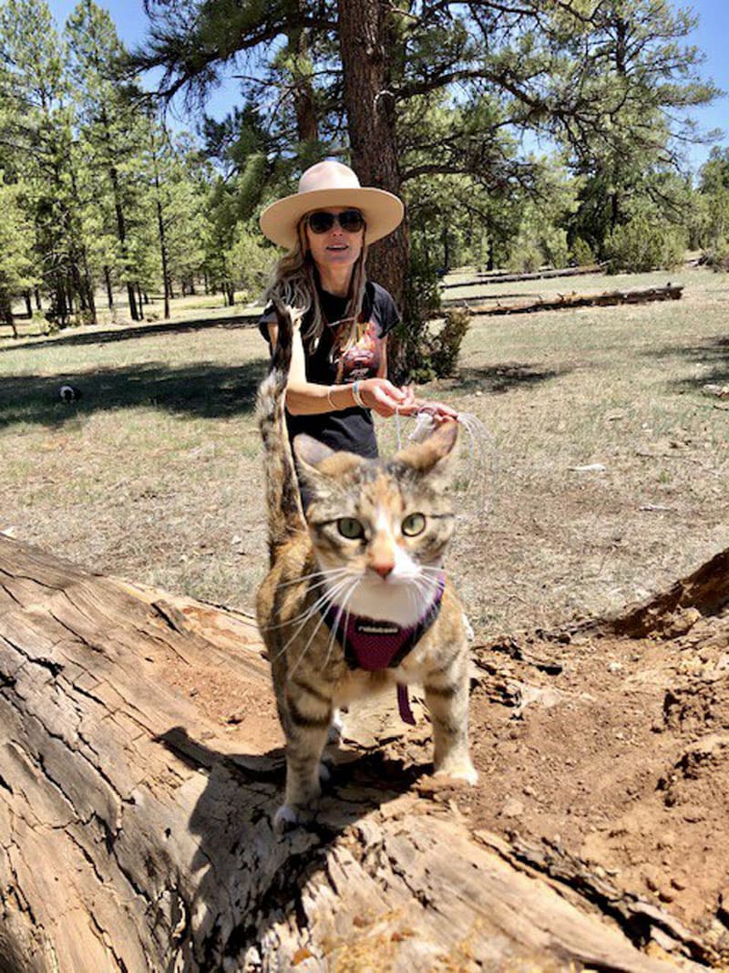 Maisie In Backcountry Arizona