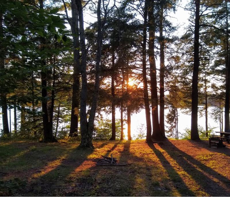 North Gemini Lake State Forest Campground