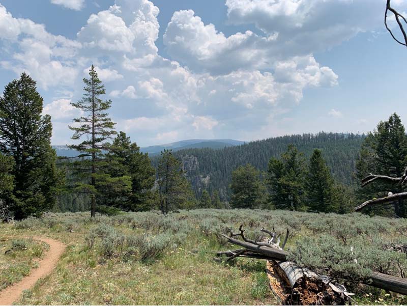 Bucking Mule Falls Trail