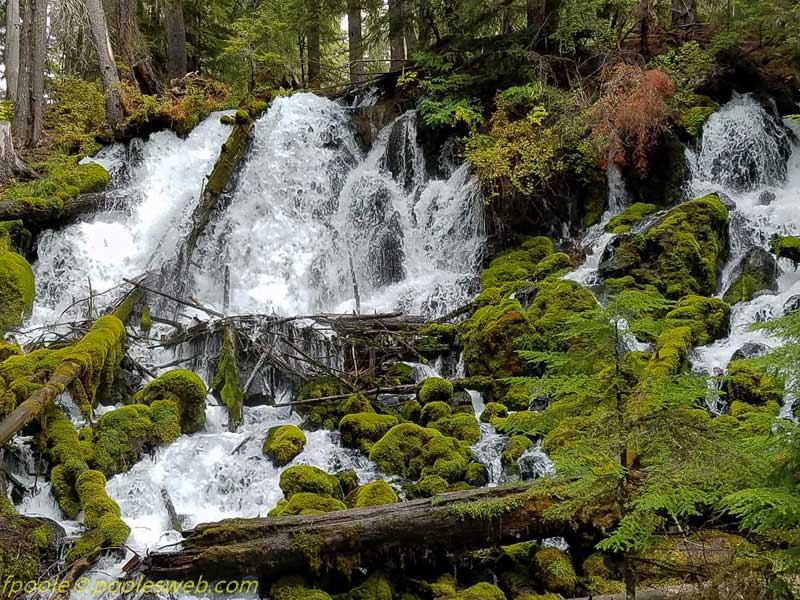 Clearwater Falls Oregon