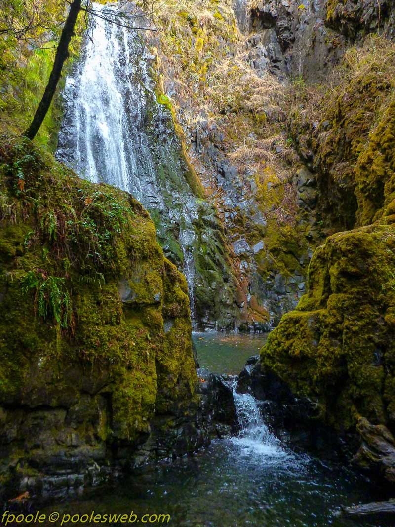 Susan Falls Oregon