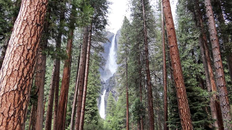 Yosemite Waterfalls