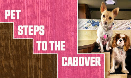 Pet Steps To Cabover