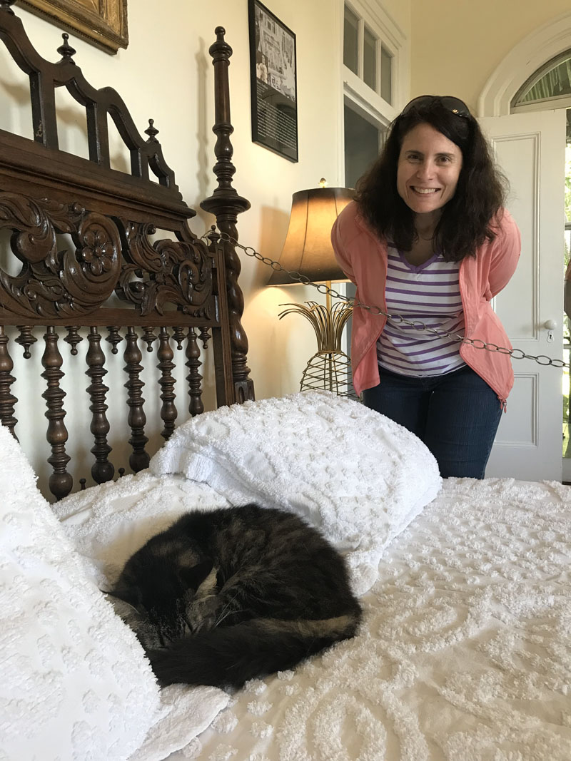 Cats On Bed Hemingway House Key West