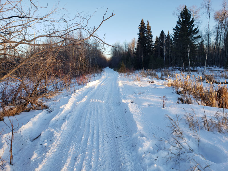 Deep In The Snowy Backcountry Of Saskatchewan