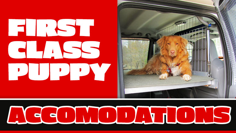 Protective Dog Setup For Back Truck Seat