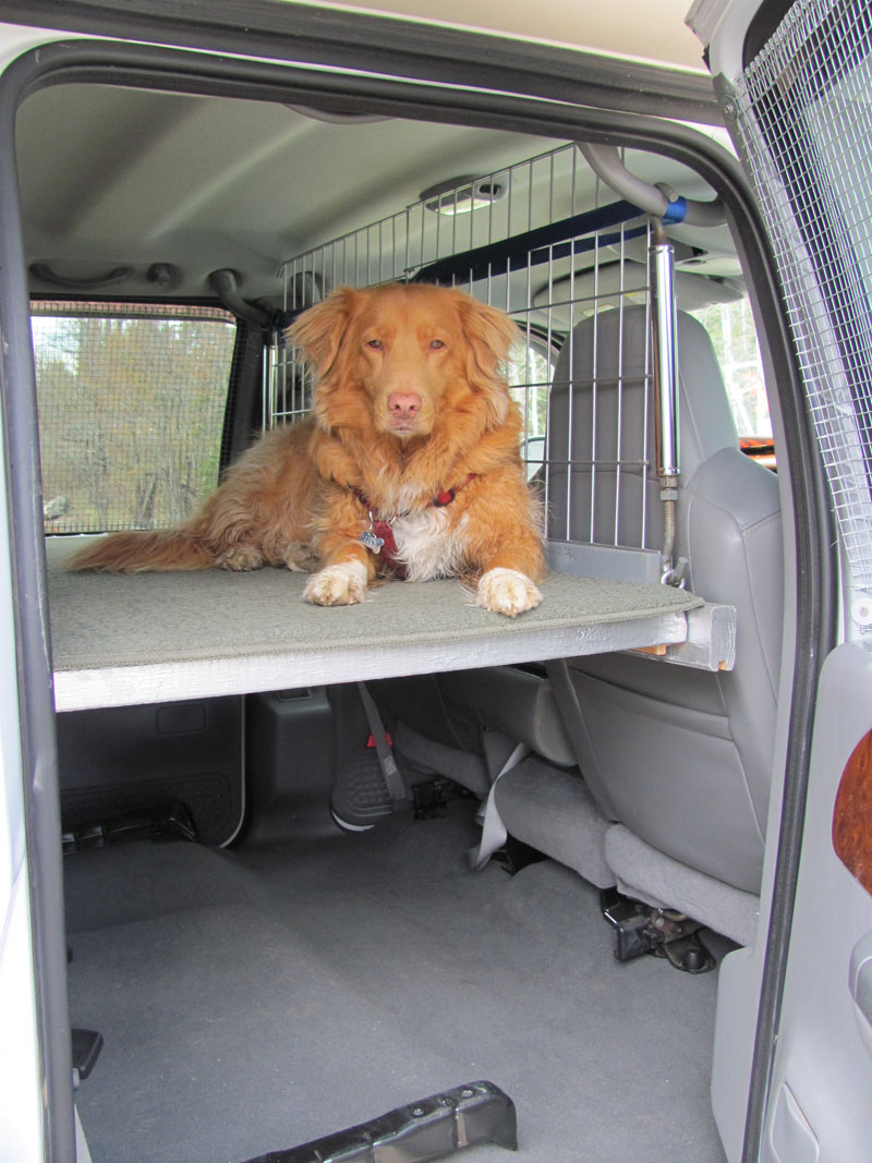 Puppy Accommodation Platform