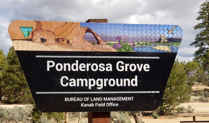 Ponderosa Grove Campground