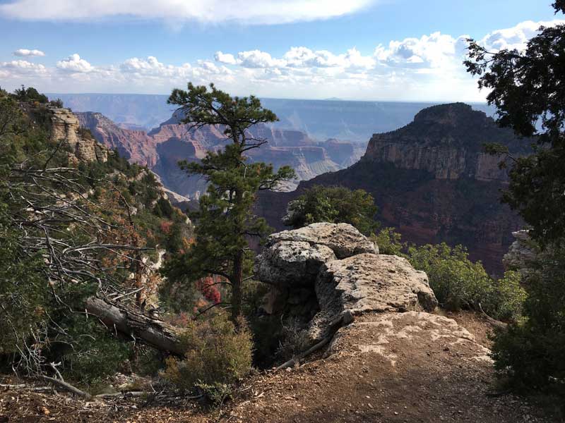 1 7 Mile Trail From The Campground To The Village