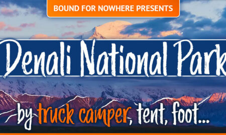 Denali National Park By Truck Camper