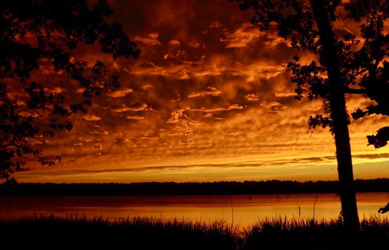 Bayou Des Arc WMA Arkansas