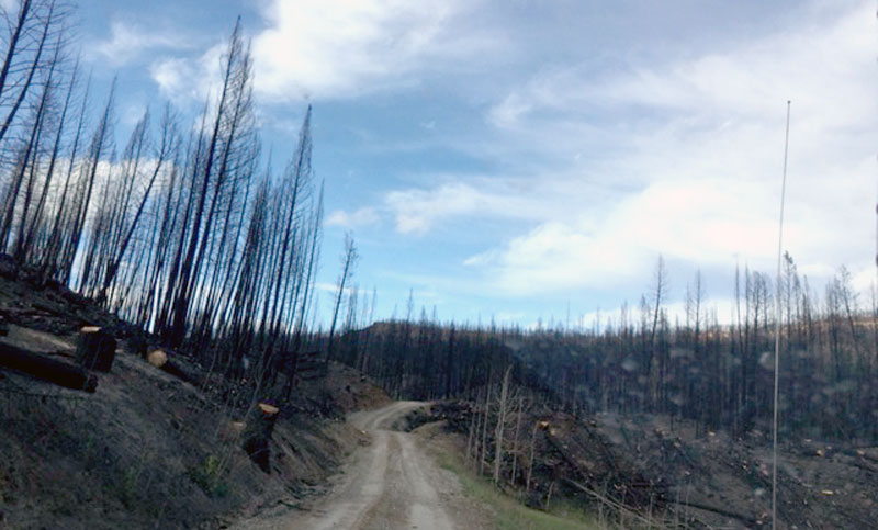 Dead Mans Lake After The Kamloops Fires