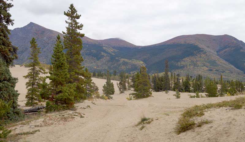 The Dunes Near Carcross