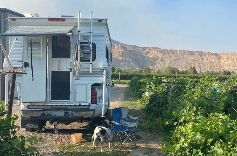 Camping at an Orchard in Palisade, Colorado