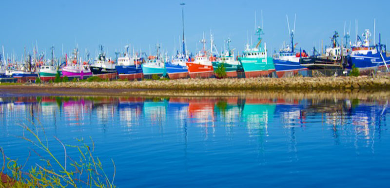 Colorful Boats in Nova Scotia