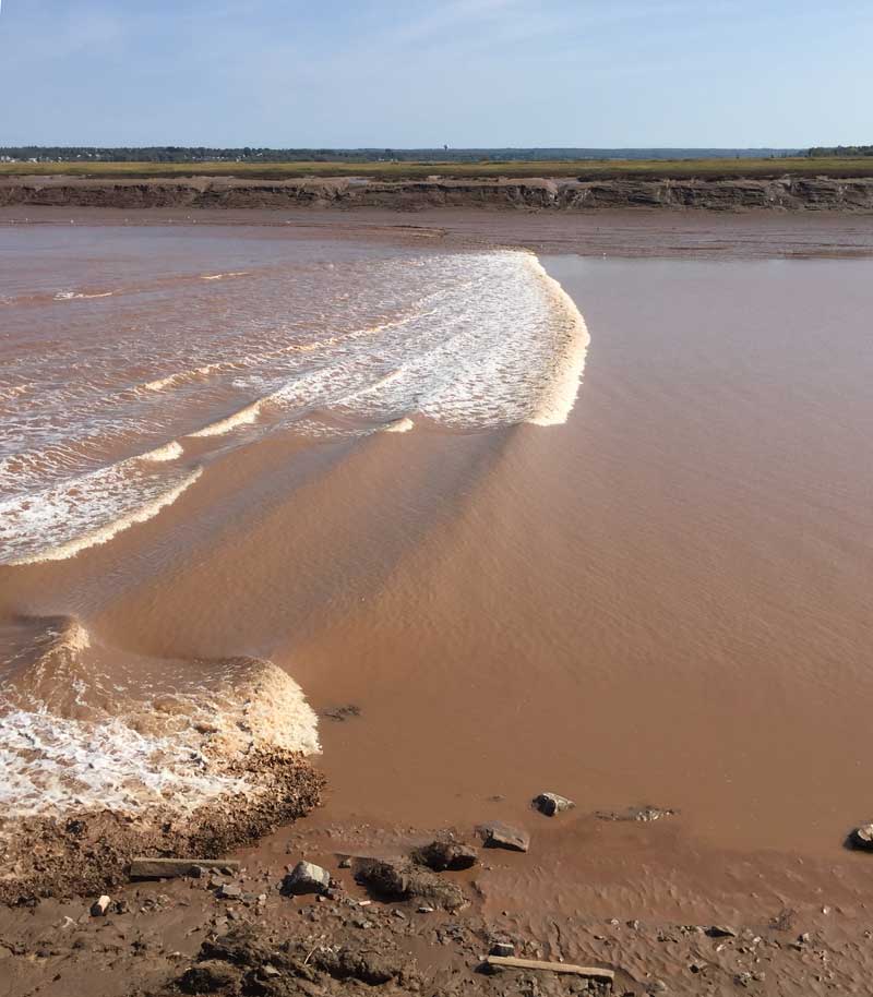 Fundy Tides Nova Scotia