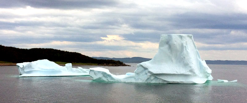 Icebergs In Newfoundland