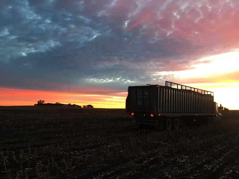 Sugar Beet Harvest At One Of The Local Farms We Were Harvesting