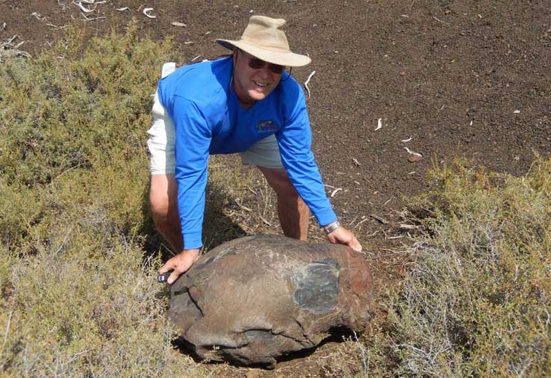 Blue Dragon Craters Of The Moon