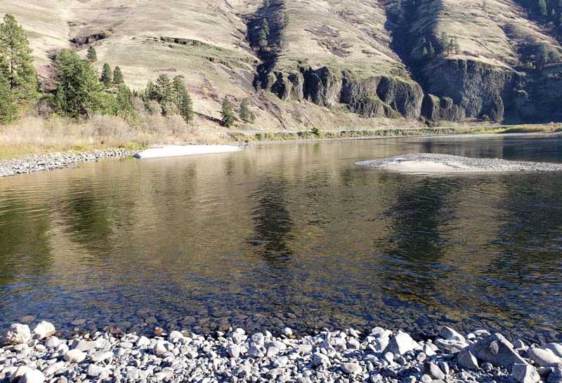 Clearwater River At McKay Bend Campground Riddle