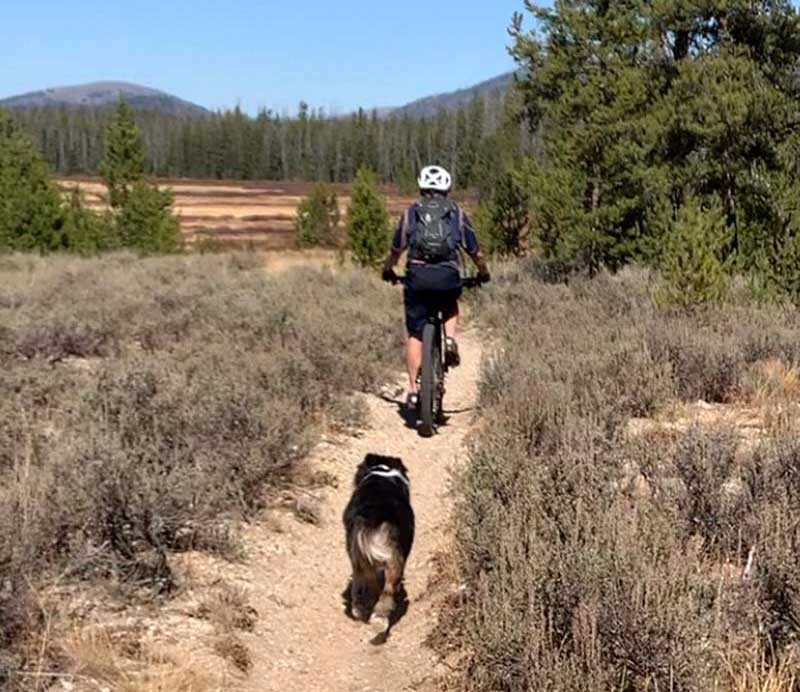 Elk Meadow Bike Trails Stanley Lake