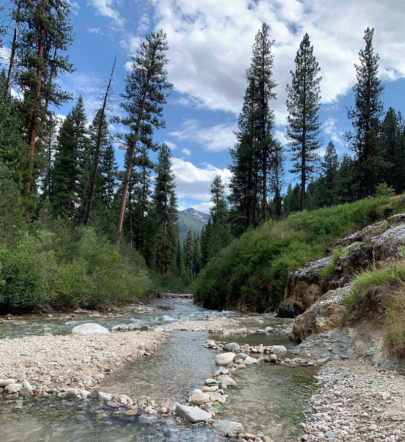 Hot Springs On The River
