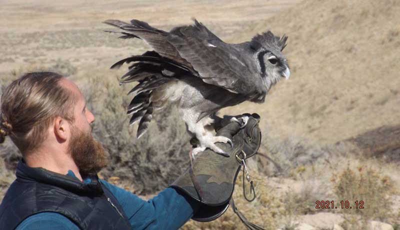World Center For Birds Of Prey in Idaho