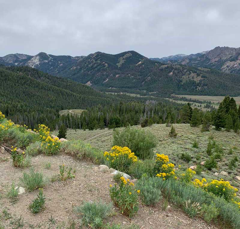 Central Idaho beauty