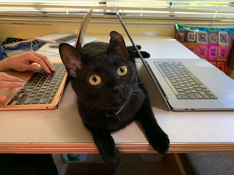 Cosmo our CEO Between Macs