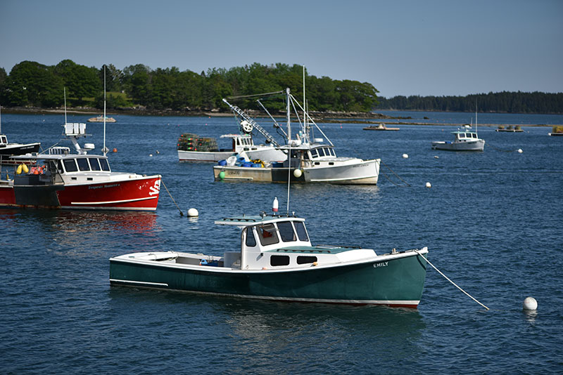 Maine Friendship Nikon