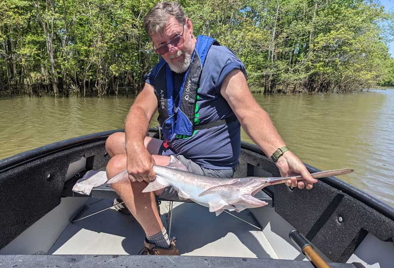 Paddlefish We Caught In Our Fold Up Porta Bote