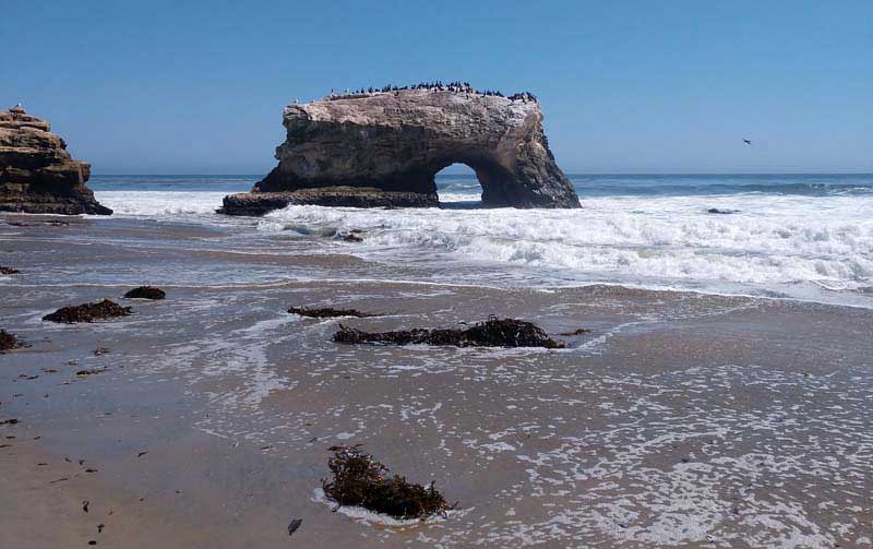 Natural Bridges Santa Cruz California