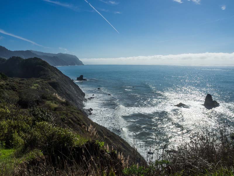 On the trail to Bear Harbor, Sinkyone Park looking south