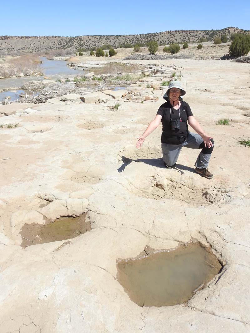 Eileen with dinosaur (sauropod) tracks, Picketwire Canyon, Comanche National Grassland, CO