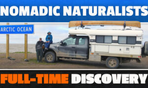 Nomadic Naturalists Full Time Discovery