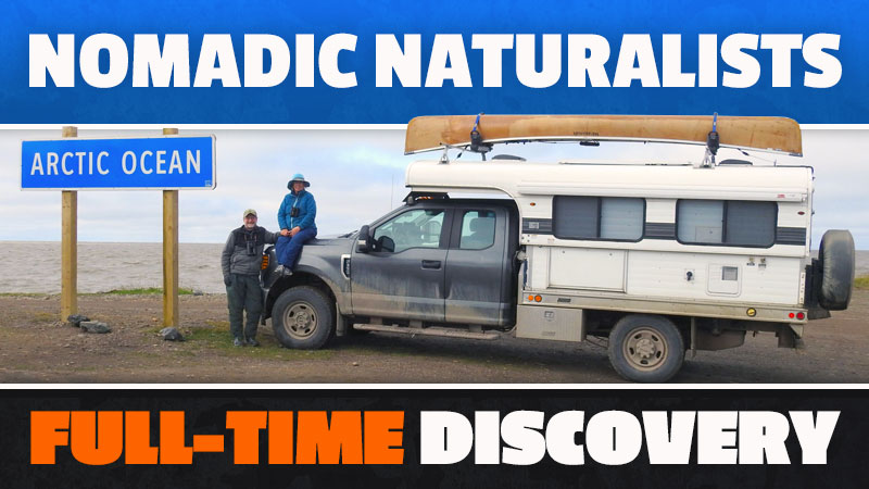 Nomadic Naturalists Full Time Discovery