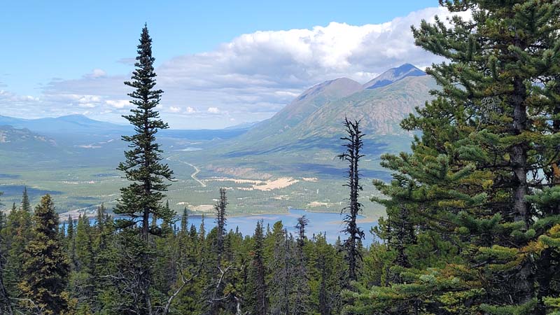 Carcross On The Mountain Montana