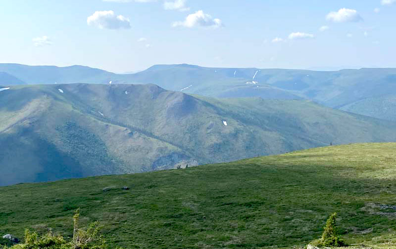 High Alpine Tundra Along The Top Of The World Hwy