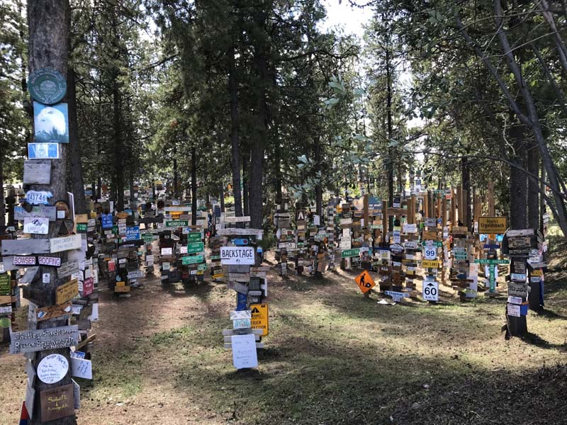 Signpost Forest In Watson Lake