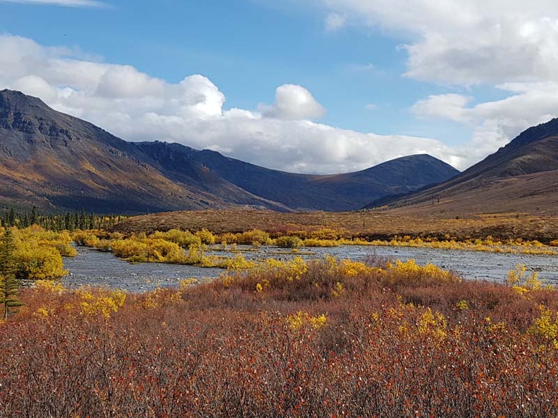 Tombstone Territorial Park In The Fall