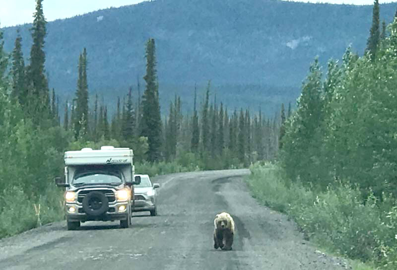 Driving In The Yukon On The Dempster Highway