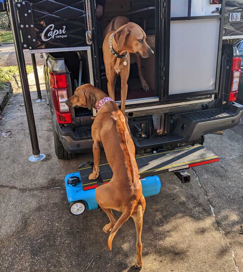 Dogs Using Hitch Step And Tank Hauler