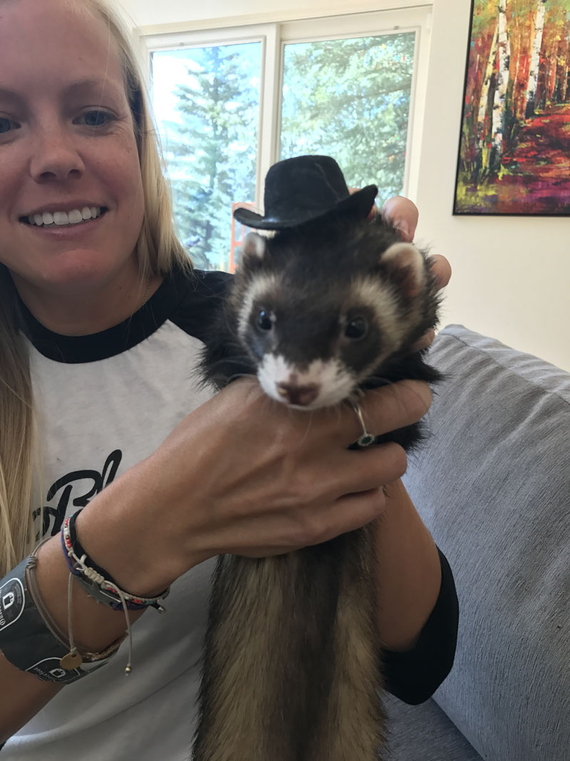 Ferrett Goes Camping